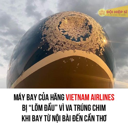 Nóng: Vì sao liên tiếp 2 máy bay của Vietnam Airlines bị móp đầu, nứt kính buồng lái?